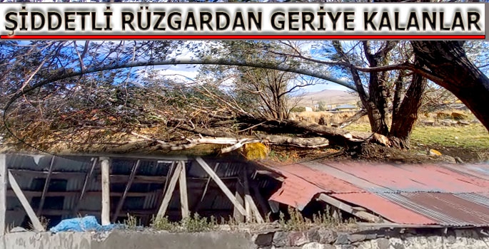 2 Gün Süren Şiddetli Rüzgardan Geriye Kalanlar