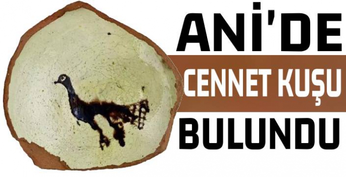 Ani'de Cennet Kuşu Bulundu!