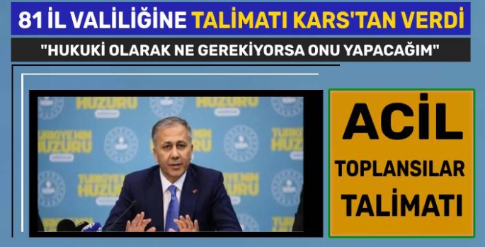 Bakan Yerlikaya'dan Valiliklere 'Sahipsiz Köpekler Acil Toplansın' Talimatı