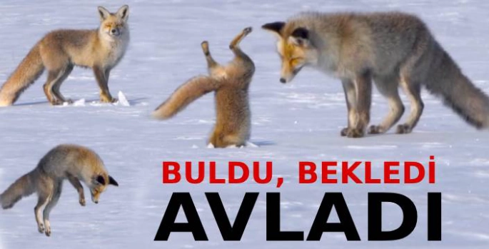 Buldu, Bekledi, Avladı!