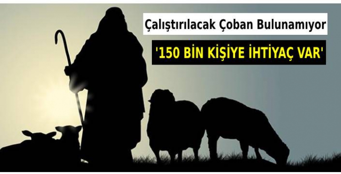 Çalıştırılacak çoban bulunamıyor: 150 bin kişiye ihtiyaç var