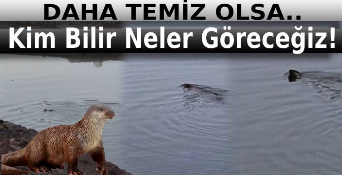 Daha Temiz Olsa Kim Bilir Neler Göreceğiz!