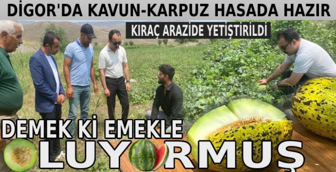 Digor'da ekilen kavun-karpuz hasada hazır