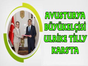 Avusturya Büyükelçisinden Vali Öksüz'e Ziyaret