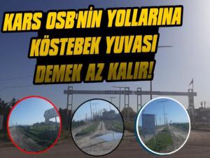 Kars OSBnin Yolu Çukurlardan Geçilmiyor