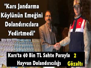 Kars'ta 40 Bin TL Sahte Parayla Hayvan Dolandırıcılığını Jandarma Bozdu