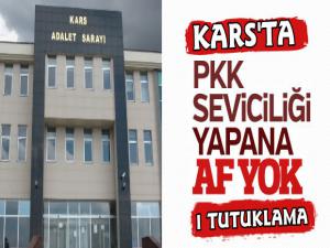 Kars'ta Zeytin Dalı Harekatı Paylaşımına 1 Tutuklama