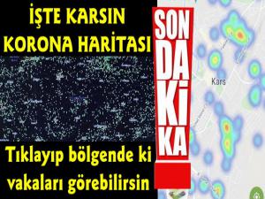 Karsın Koronavirüs Yoğunluk Haritası Belli Oldu