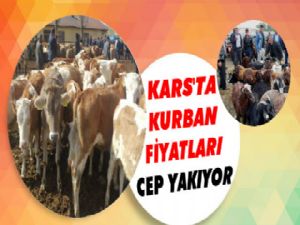 Kars'ta Kurbanlık Fiyatların'da Artış