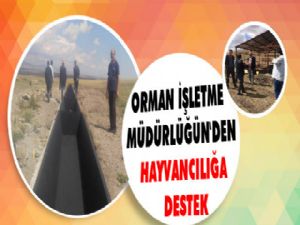 Sarıkamış Orman İşletme Müdürlüğü'nden Mera Desteği