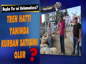 Kars'ta Tehlikenin Adresi 'Kurban Pazarı'