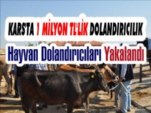 Kars'ta 1 Milyon TL'lik Hayvan Dolandırıcılığı