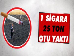 Arpaçay'da Sigara İzmariti Tarlayı Yaktı