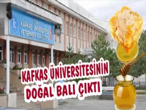 Kafkas Üniversitesi'nin Doğal Balı Satışa Çıktı