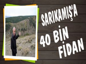 Sarıkamış Ormanları 40 Bin Fidana Kucak Açacak