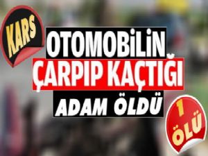 Kars'ta Otomobilin Çarpıp Kaçtığı 1 Kişi Öldü