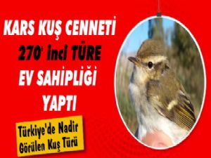 Aras Nehri Kuş Cenneti'nde 270'inci Kuş Türü Tespit edildi