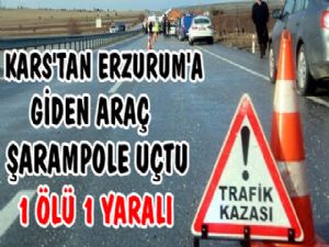 Kars'tan Erzurum'a Giden Araç Şarampole Yuvarlandı