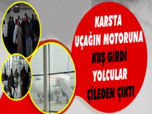 Kars'a İnen Uçağın Motoruna Kuş Girdi, Uçuş İptal Edildi