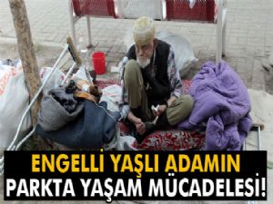 Engelli yaşlı adamın parkta yaşam mücadelesi