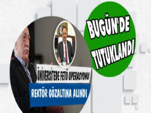 Rektör Fetö'den Tutuklandı