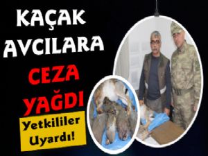 Kaçak Avcılara Ceza Yağdı