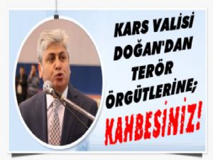 Vali Doğan Terör Örgütlerine Seslendi: KAHPESİNİZ!