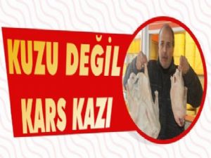 Ardahan'da Dev Kaz Şaşırttı!