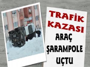 Kars'ta Trafik Kazası, Araç Şarampole Uçtu