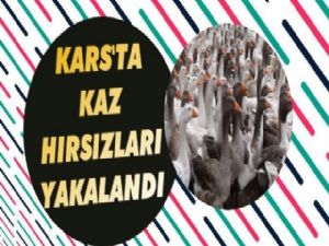 Kars'ta Kaz Hırsızları Yakalandı