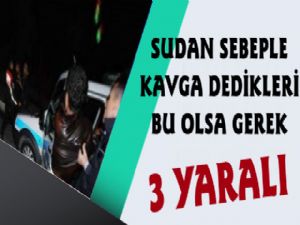 Su Sırasında Kavga Çıktı, 3 Yaralı