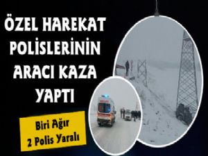 Özel Harekat Polislerinin Aracı Kaza Yaptı, 1 Ağır 2 Yaralı