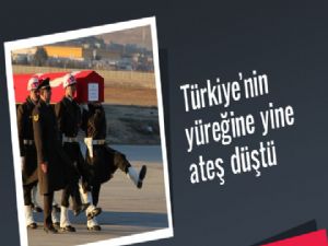 Türkiyeye Şehit Ateşi Düştü