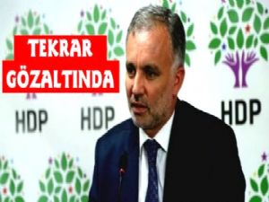 Kars Milletvekili Bilgen Tekrar Gözaltında