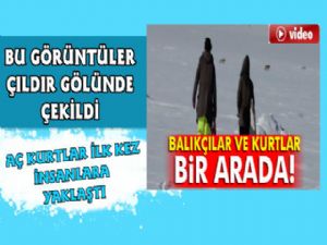 Çıldır Gölü üzerinde balıkçılar ve kurtlar bir arada