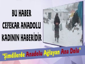 Bu Haber Cefekar Anadolu Kadının Haberidir