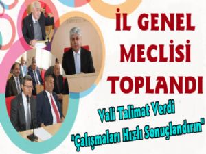 Vali Doğan Başkanlığında İl Genel Meclisi Toplantısı Yapıldı