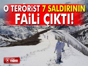 Lice'de öldürülen terörist 7 saldırının faili çıktı