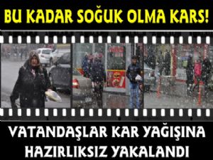 Kars'ta Kar Yağışı ve Soğuk Hava Etkisini Sürdürdü