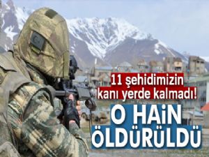 11 askeri şehit eden terörist öldürüldü