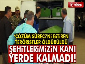 'Çözüm Süreci'ni bitiren teröristler öldürüldü