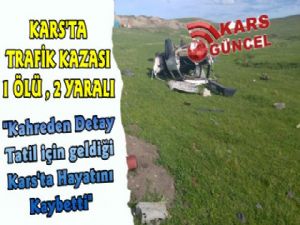 Kars'ta Trafik Kazası, 1 Ölü 2 Yaralı