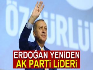 Cumhurbaşkanı Erdoğan yeniden kurucusu olduğu partinin başında