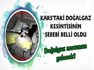 Kars'taki Doğalgaz Kesintisinin Nedeni Belli Oldu