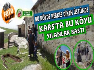 Kars'ta Bu Köyü Yılanlar Bastı!