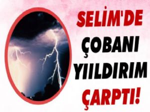 Selimde Yıldırım Düştü: 1 Ölü