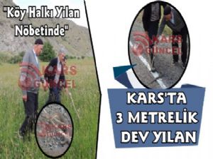 Kars'ta Vatandaşların Yılan Korkusu