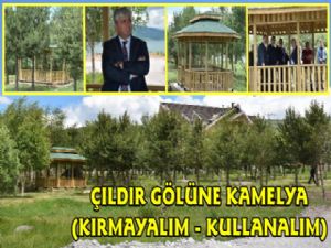 Çıldır Gölü Piknik Alanına Kamelyalar Konuldu