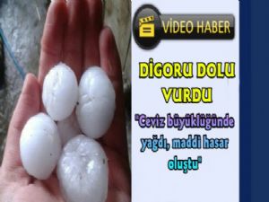 Digor'u dolu vurdu