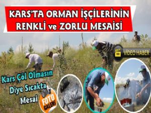 Kars'ta Orman İşçilerinin Renkli Mesaisi